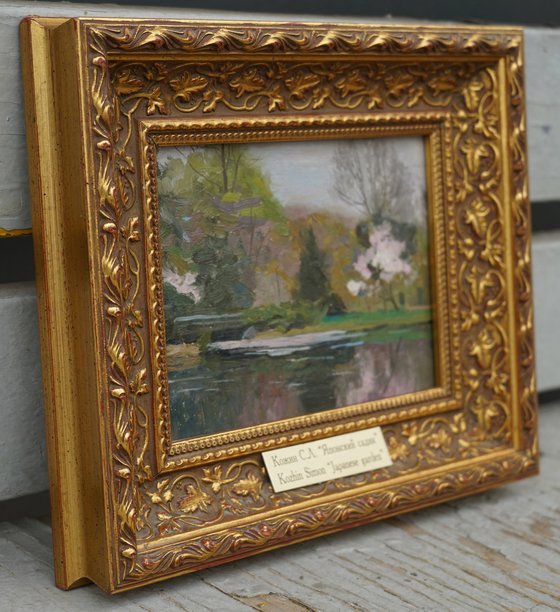 Japanese garden. Sakura blossom