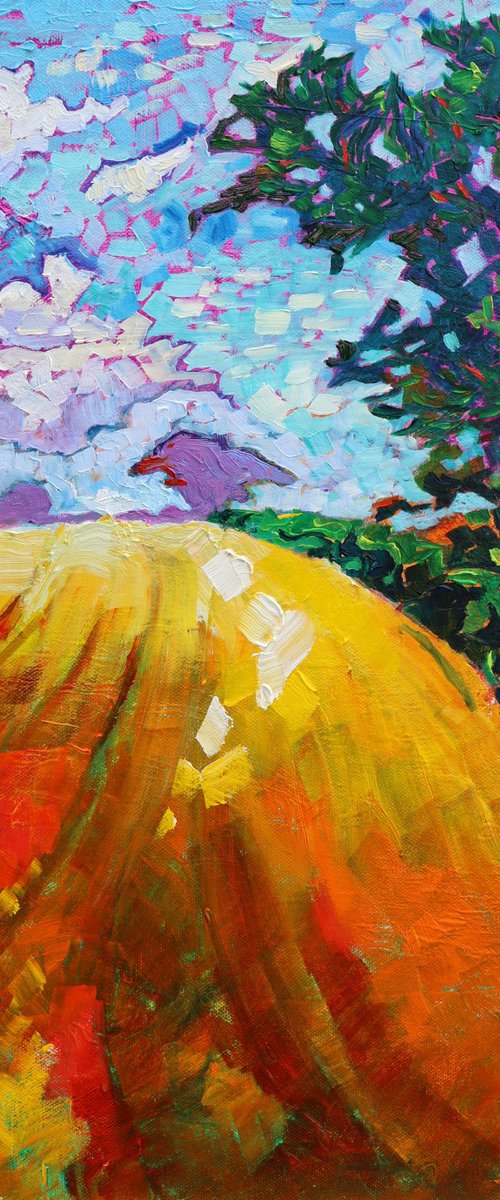 Countryside, An Ordinary Field by Mary Kemp