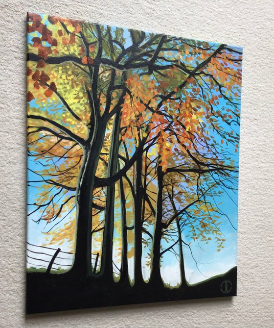 The Beeches At Minnowburn