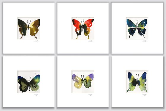 Butterfly Song Collection 2