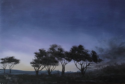 Purple sunset tree silhouette African landscape at dusk by Pip Walters