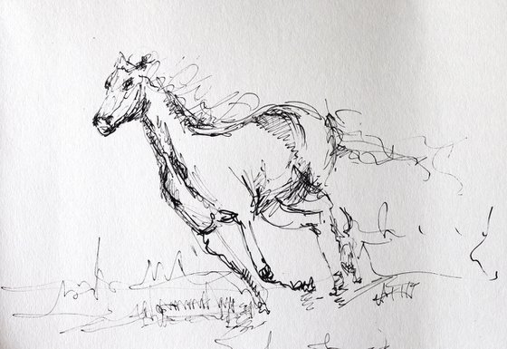 Horse