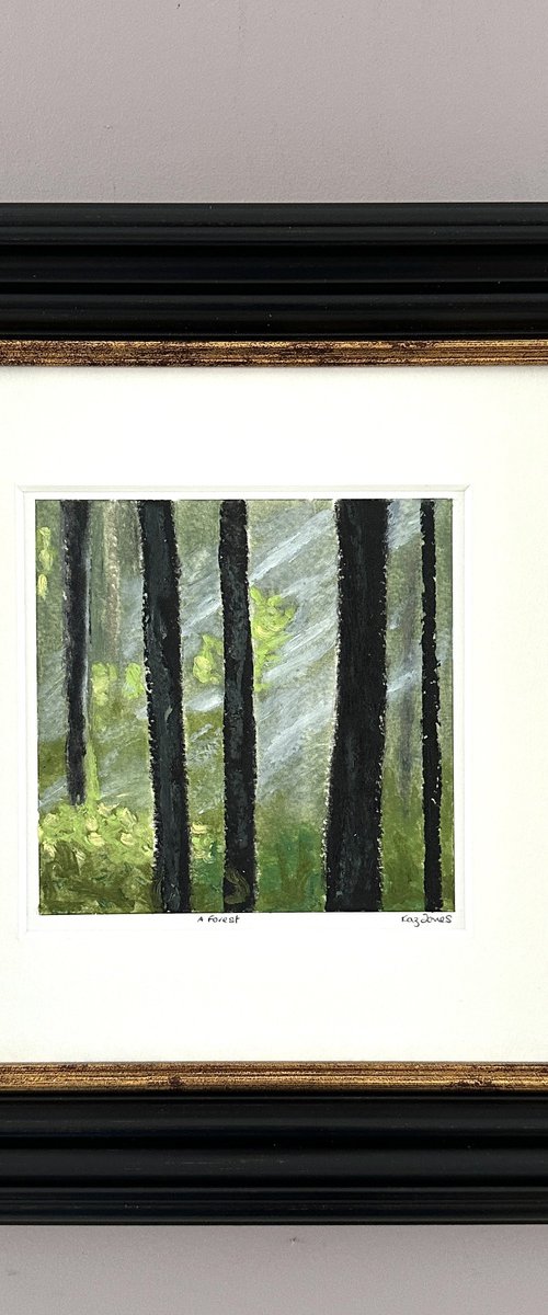 A Forest by Kaz  Jones