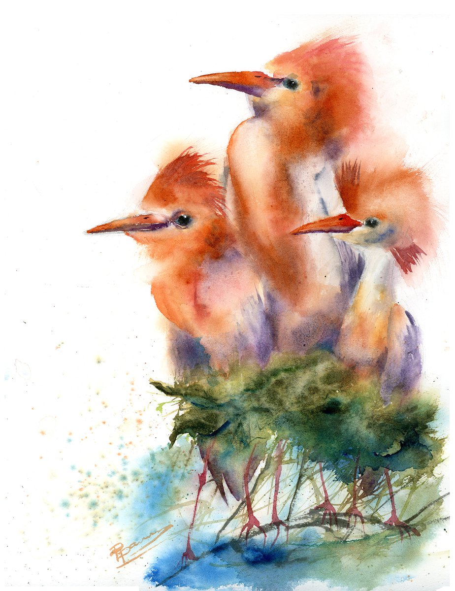 Impressionistic Animal Watercolour By Olga Tchefranov (Shefranov), 12 X 16", Feathered Trio, Original Artwork