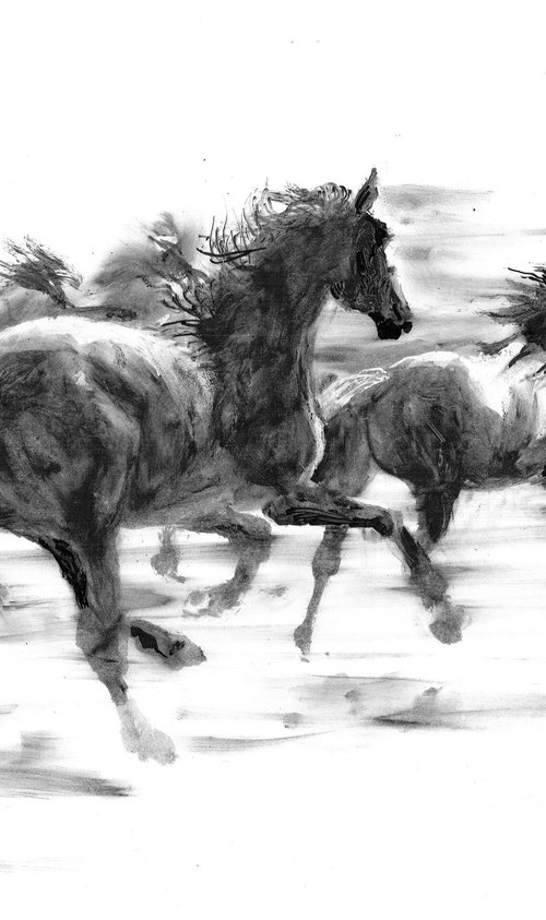 RUNNING HORSES by Nicolas GOIA