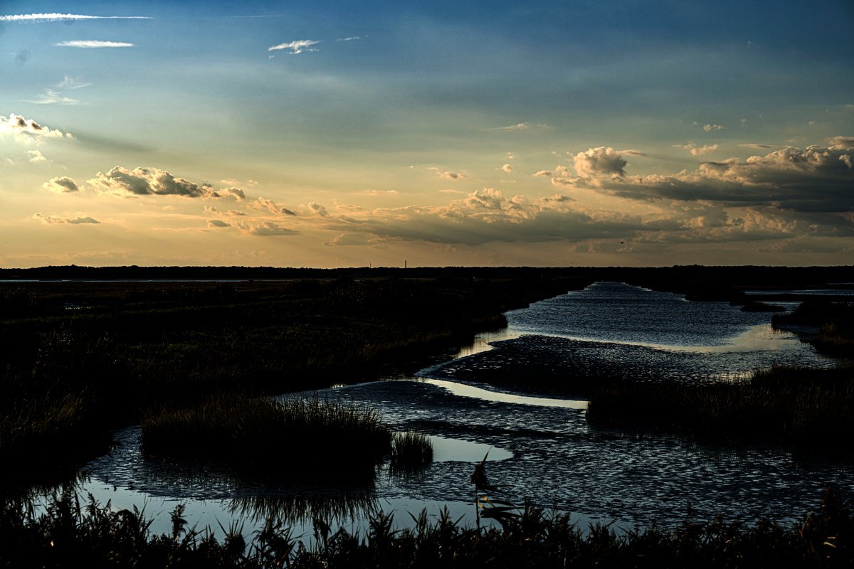 Landscape Photograph By David Huntzinger, 28 X 17, Twilight Over The Wetlands, Original Artwork