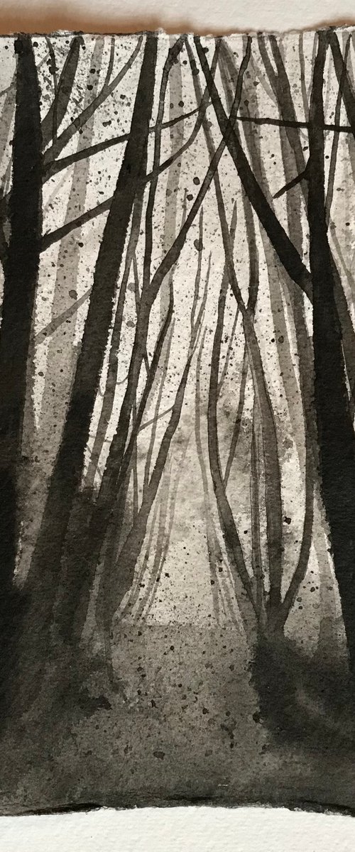 Winter Trees in Pen and Ink - Traditional English Landscape - Norfolk Woods by Catherine Winget