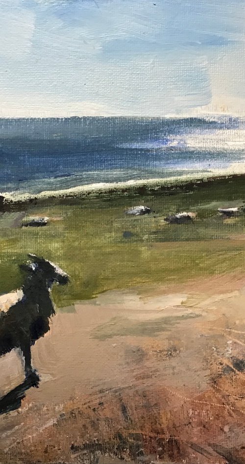 Northumberland Sheep by Sandra Haney