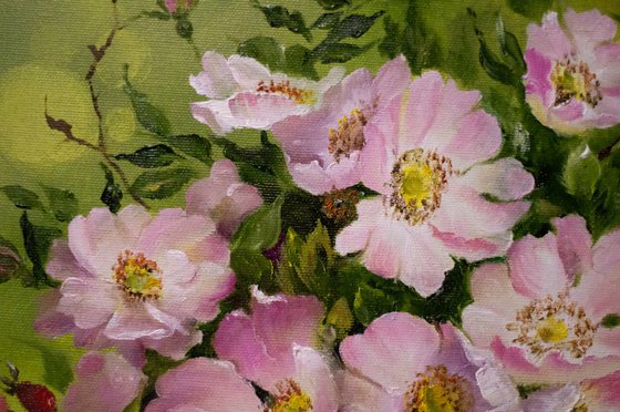 "WILD ROSE"