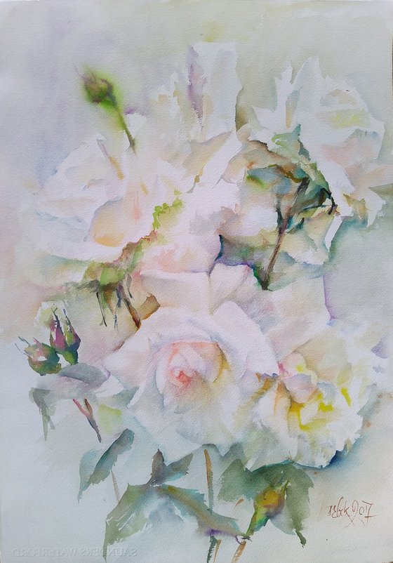 White roses