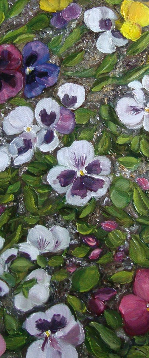 Heartsease garden by Olga Knezevic