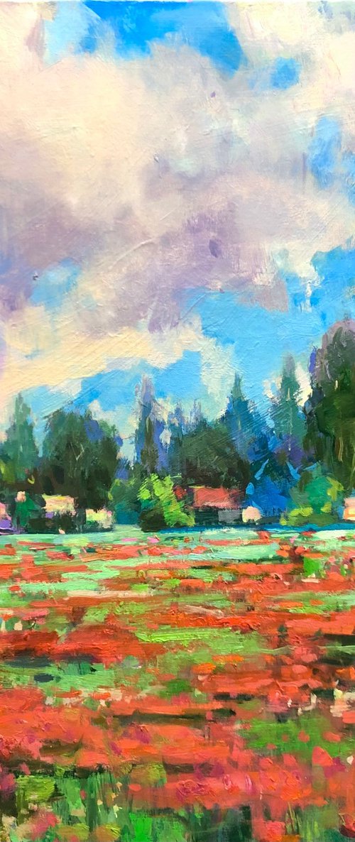 Happy Poppy-land by Emily Lane