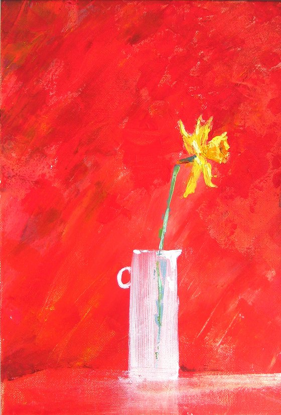 'Isolated Daffodil'