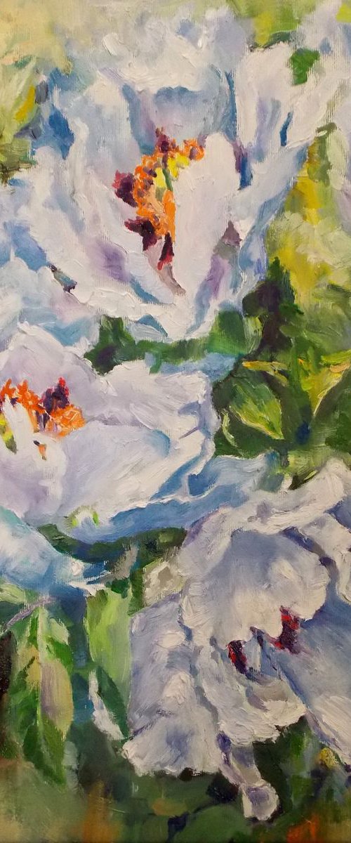 WHITE PEONIES #6 by Yurii Pashkov