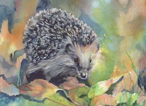 Hedgehog by Sarah Stowe