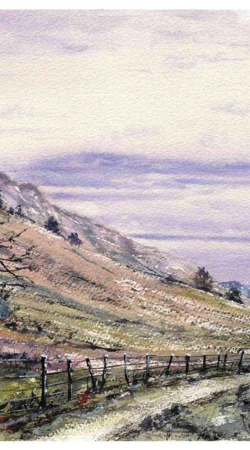 Mountainside Path by Neil Wrynne