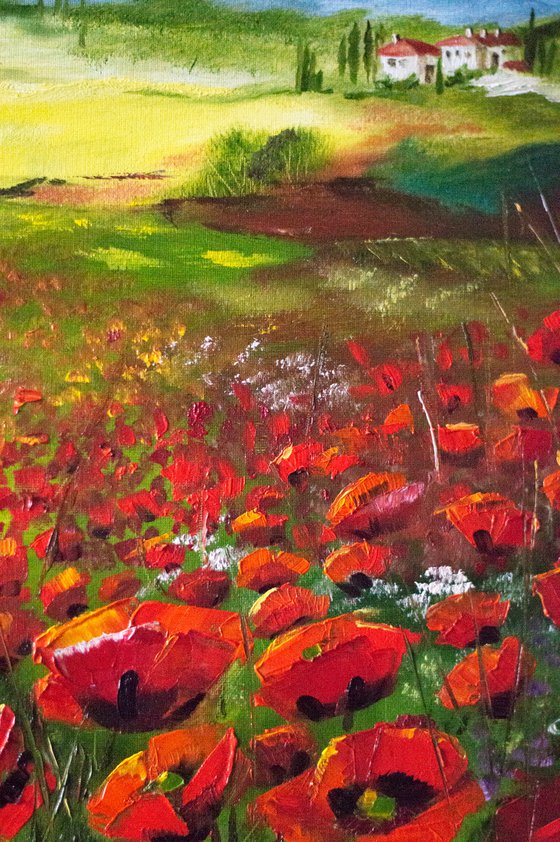 "Fields of Tuscany". Italy. Poppies