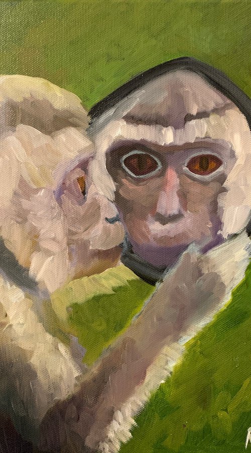 Monkey and a Mirror by Ryan  Louder