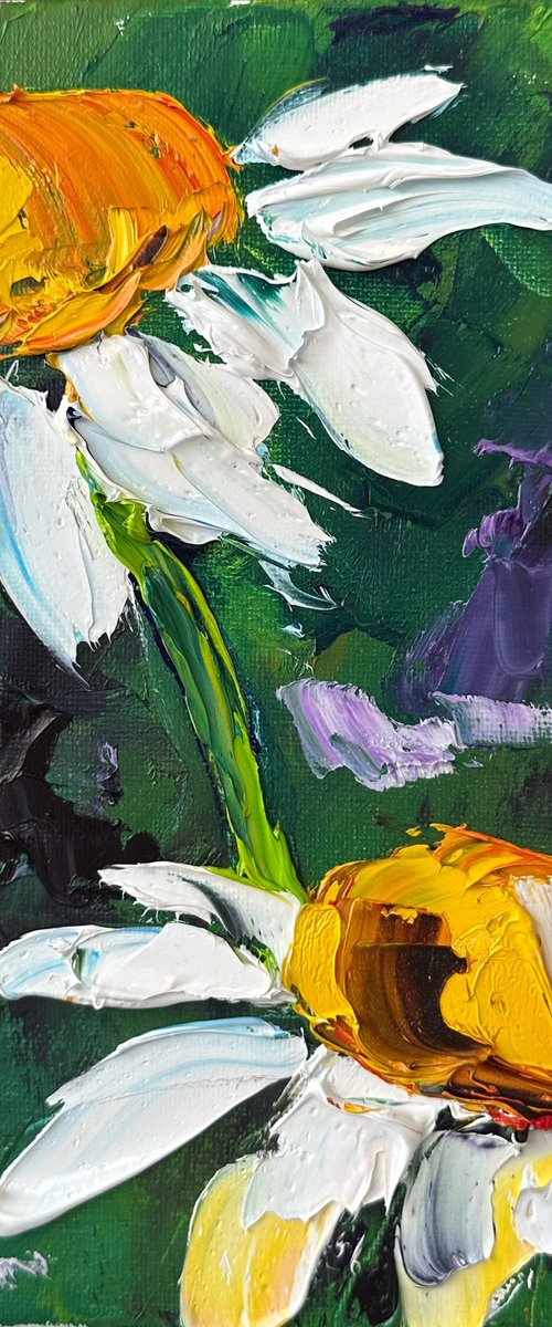 Two daisies by Oksana Fedorova