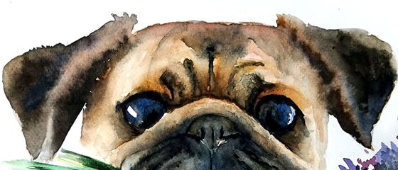 Cute Pug ORIGINAL Watercolor Painting, Best Dog Breed Art