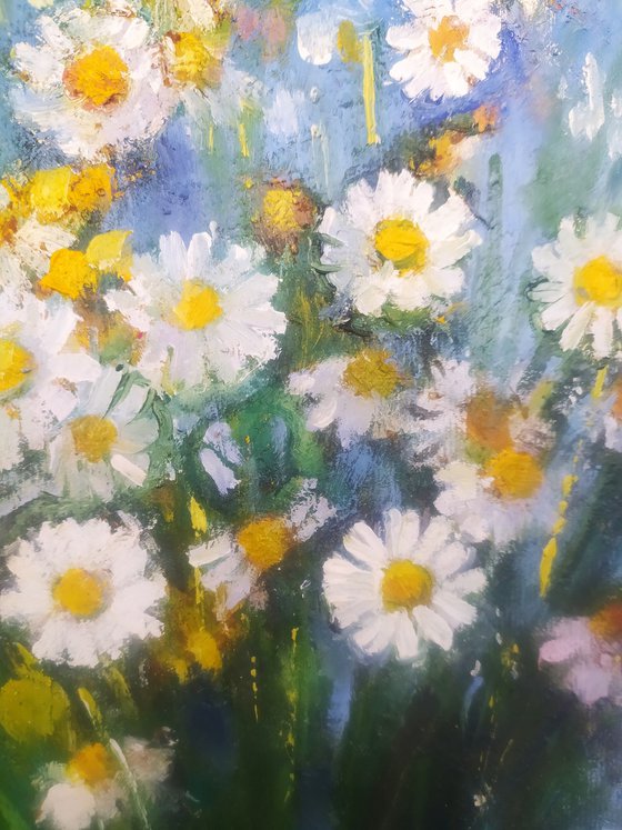 Tansy and daisies