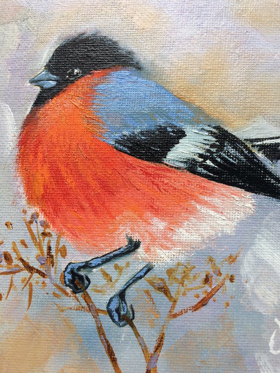 Bird oil painting - Bullfinch small canvas artwork - Christmas gift for bird lover (2021)