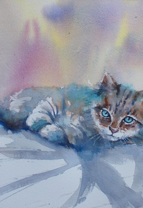 lying cat 4 by Giorgio Gosti