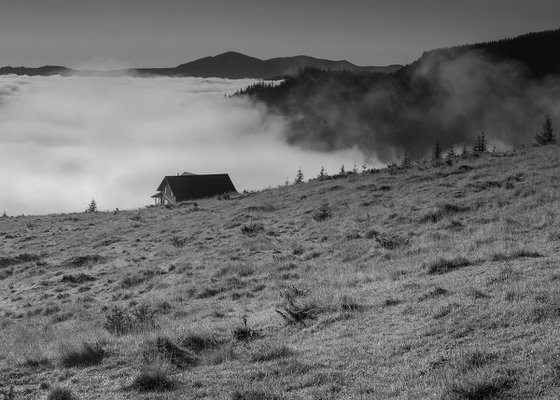 Covered in morning fog. (Multipanel)