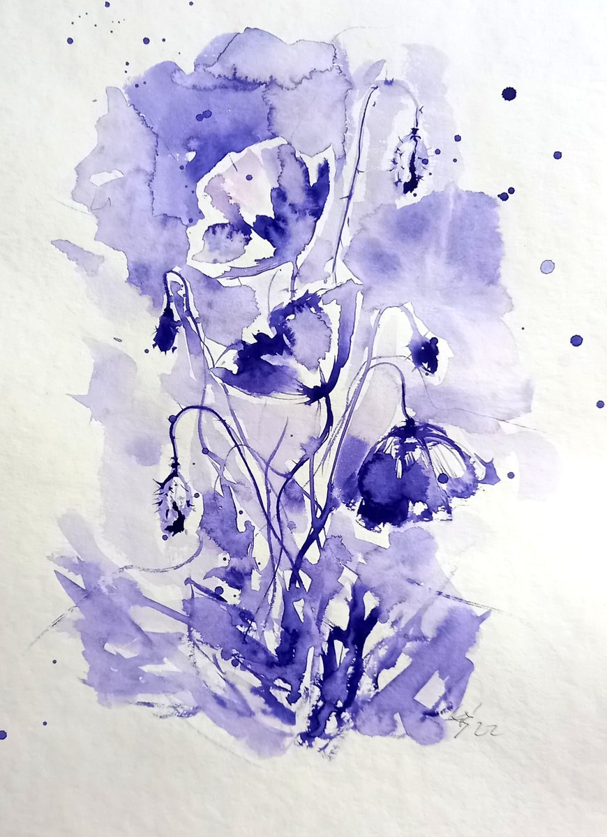 Purple poppies III by Kovacs Anna Brigitta