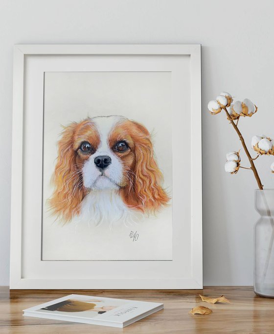 Gentle Cavalier King Charles Spaniel Portrait