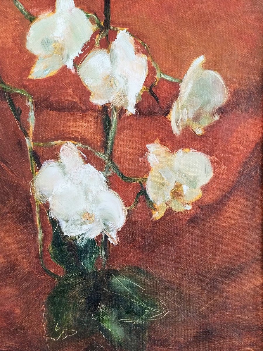 Impressionistic Botanical Oil Painting By Sebastian Beianu, 12 X 16", Orhids, Original Artwork