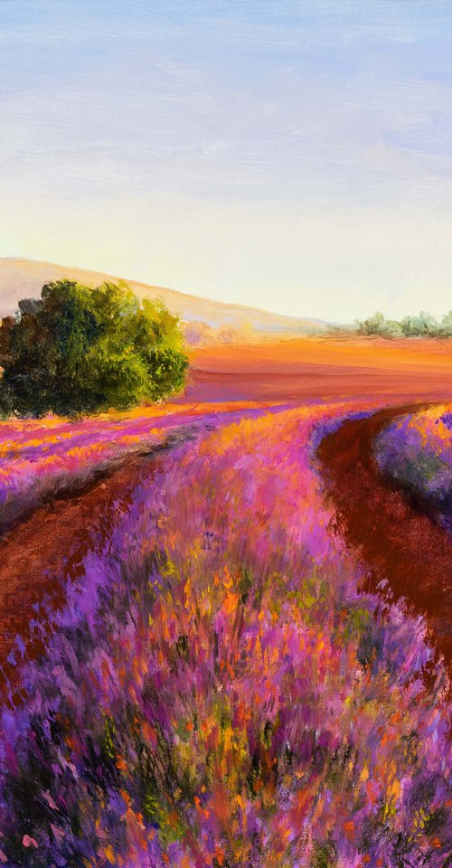 'A summer in Provence' by Lucia Verdejo