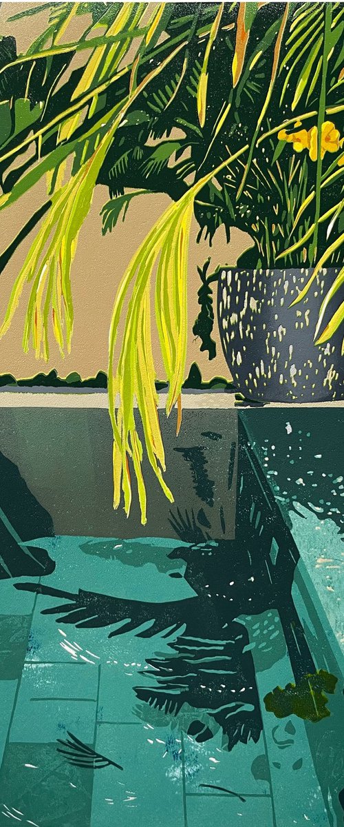 Dive In by Kirstie Dedman