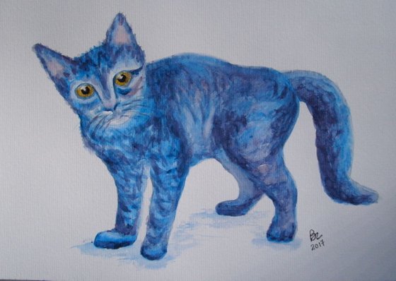 Blue Cat