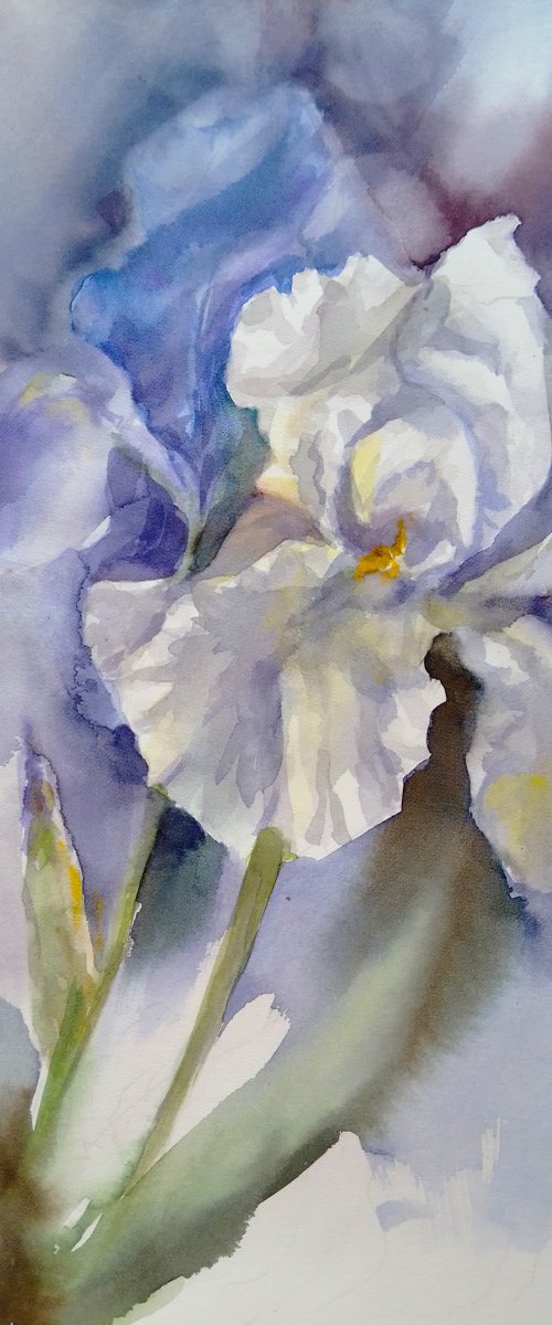 Original watercolor hand painting Irises flowers by Alina Shmygol