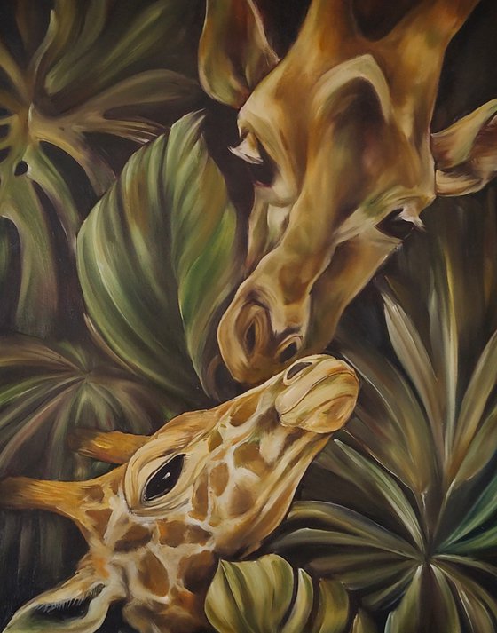 Giraffes