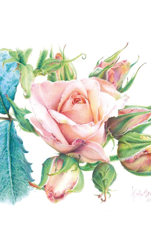 La Rosa Madre (The Mother Rose) by Katya Santoro
