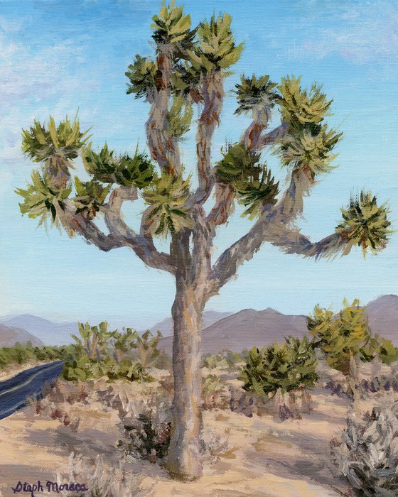 The Joshua Tree