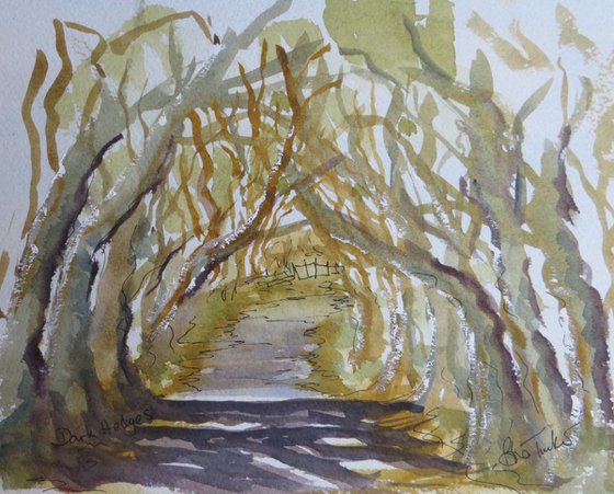 The Dark Hedges,near Armoy in Northern Ireland