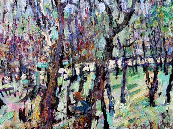 Trees by the Shore