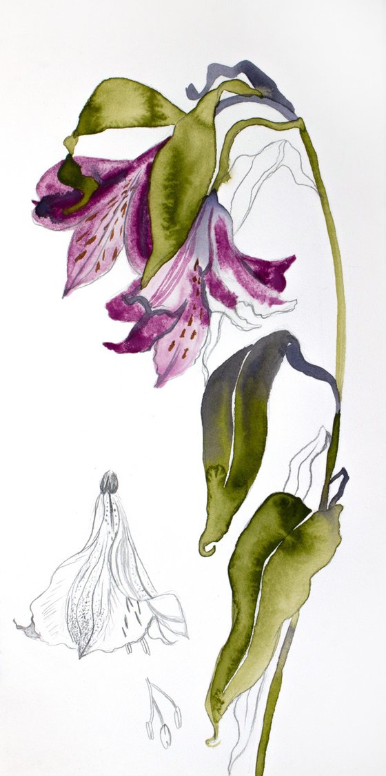 Lilies No. 12