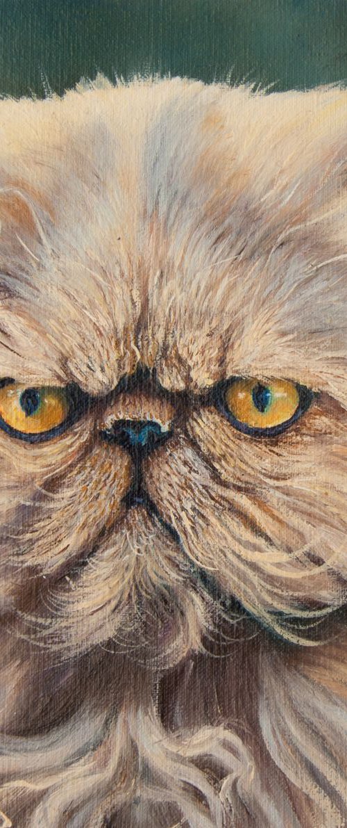 Persian Cat by Norma Beatriz Zaro