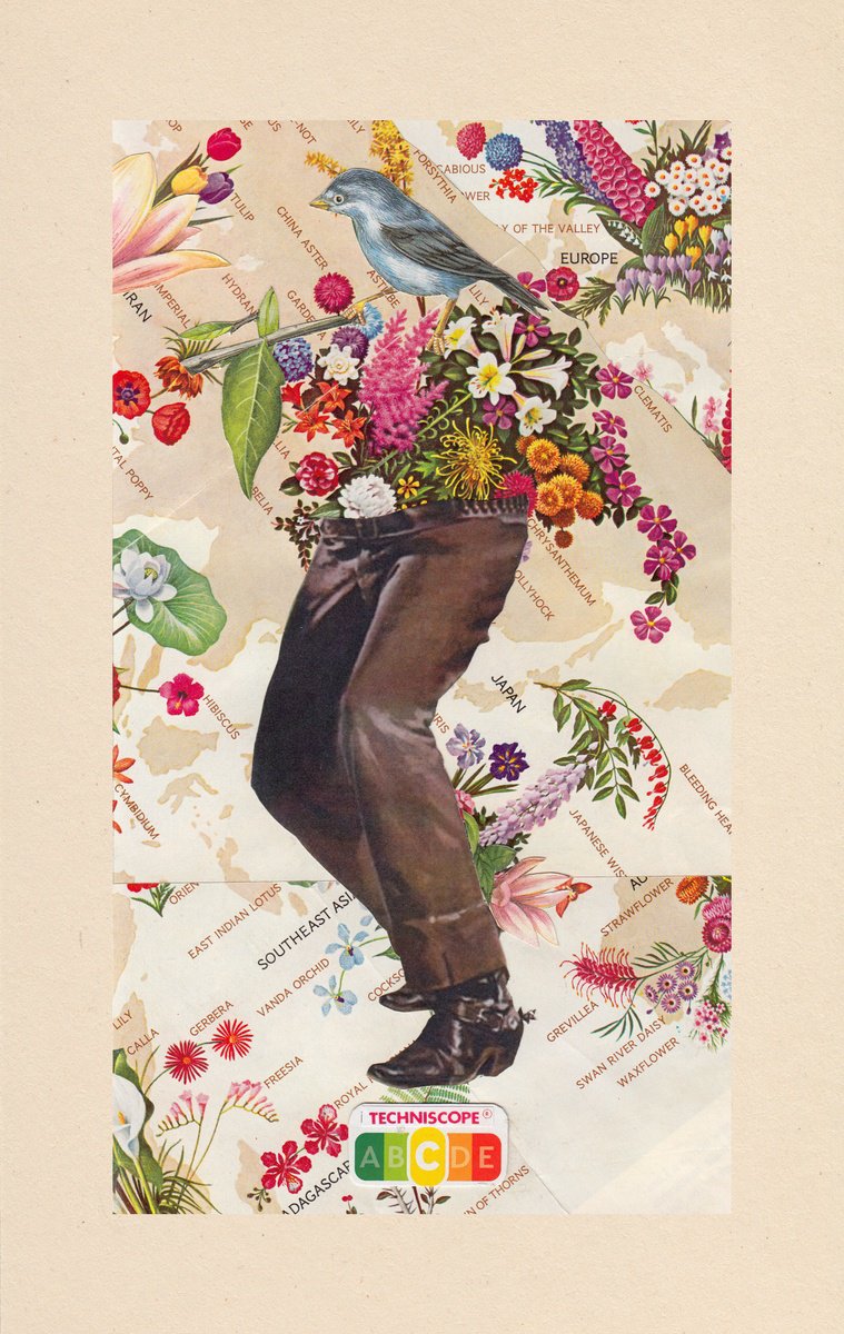 Botanical Collage By Jon Garbet, 7 X 12, Revolution Forever, Original Artwork