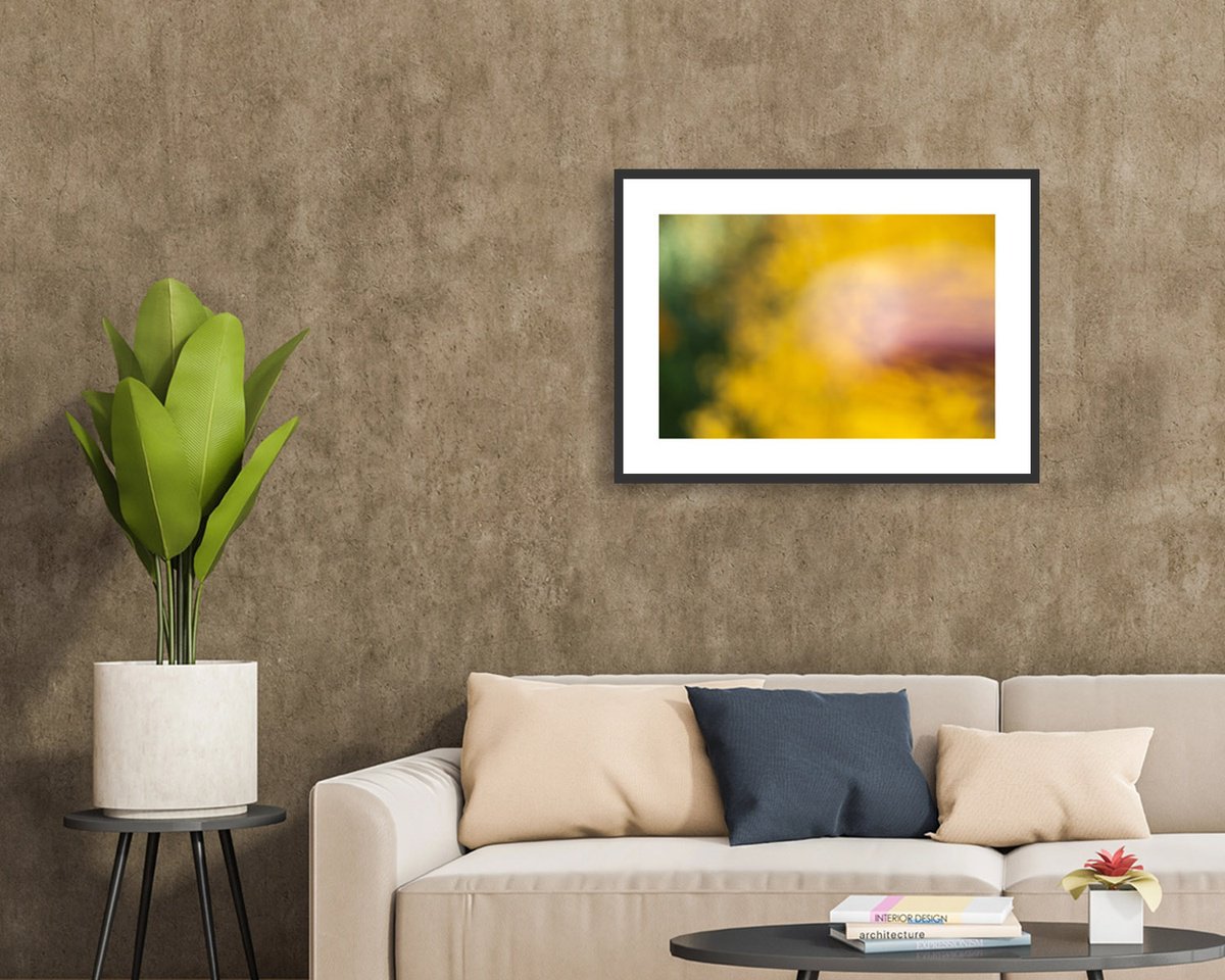 Abstract Photograph By Yuan Hua Jia, 31 X 23", Abstract - Beautiful Colors #6, Original Artwork