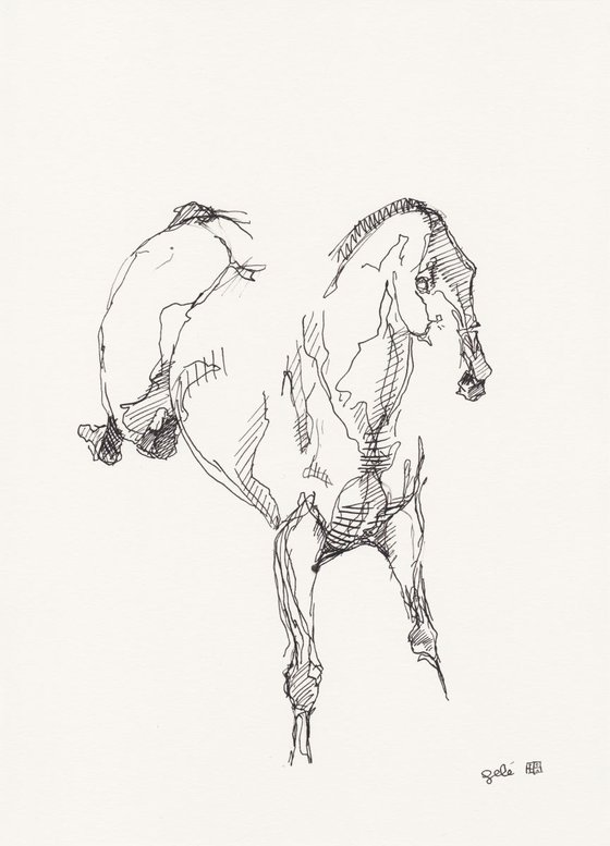 Equine Nude 146