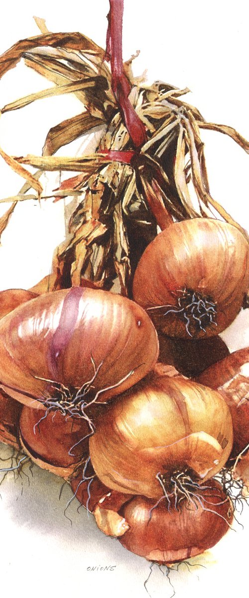 Onion by REME Jr.