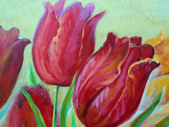 Tulips of Love