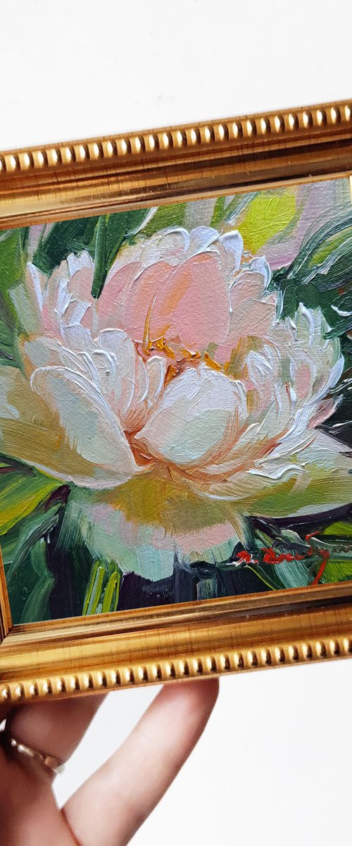 Pink peony flower by Nataly Derevyanko