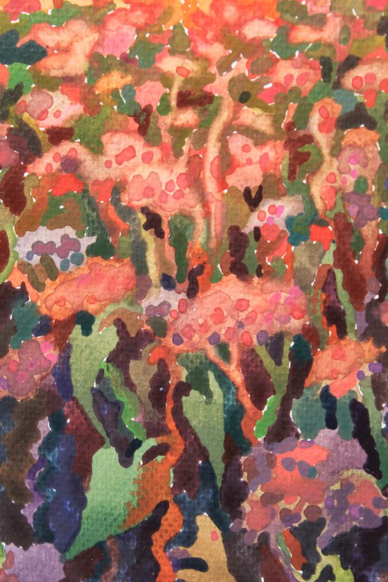 Sunset in the Buckwheat field