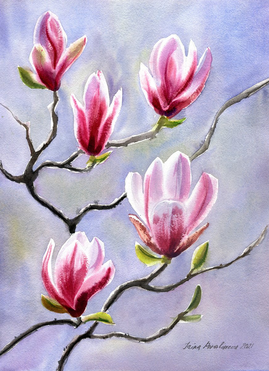 Magnolia flowers original watercolor painting with pink flowers on blue decor for kitchen by Irina Povaliaeva